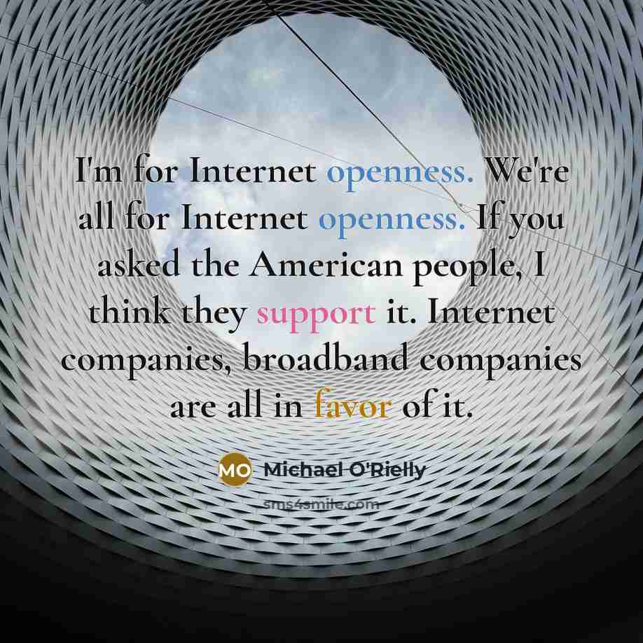 “I'm for Internet openness. We're all for Internet openness. If…” quote by Michael O'Rielly
