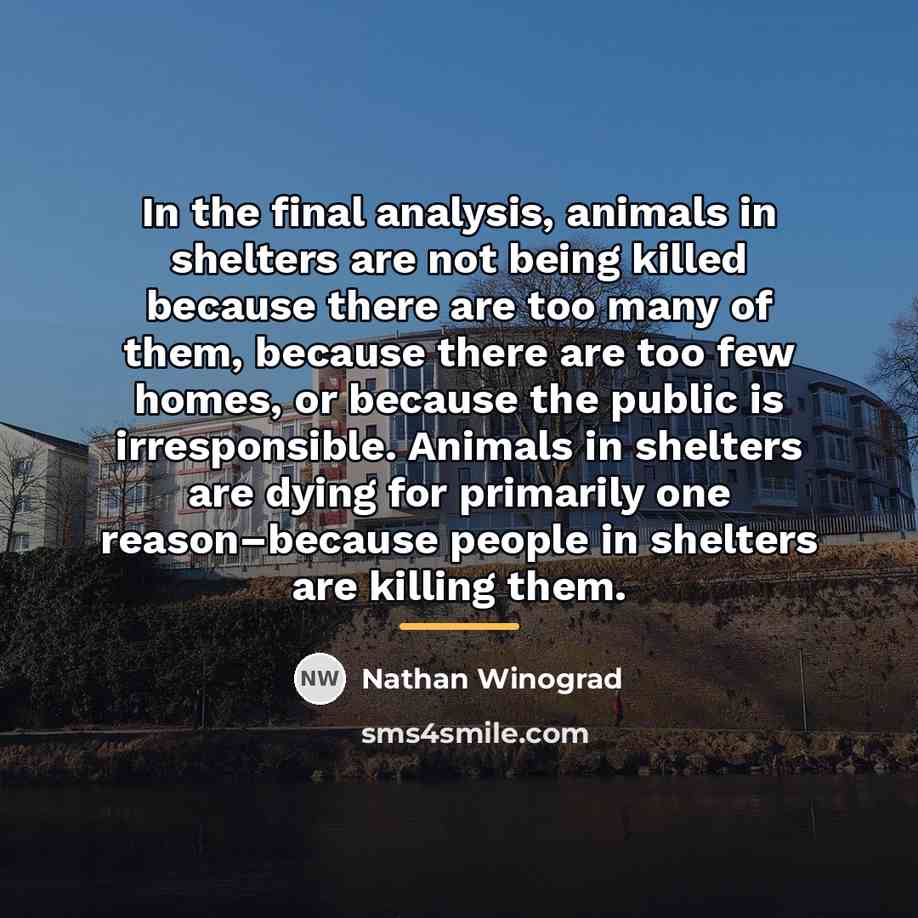 “In the final analysis, animals in shelters are not being…” quote by Nathan Winograd
