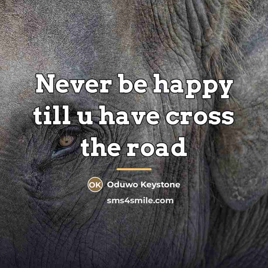 “Never be happy till u have cross the road…” quote by Oduwo Keystone