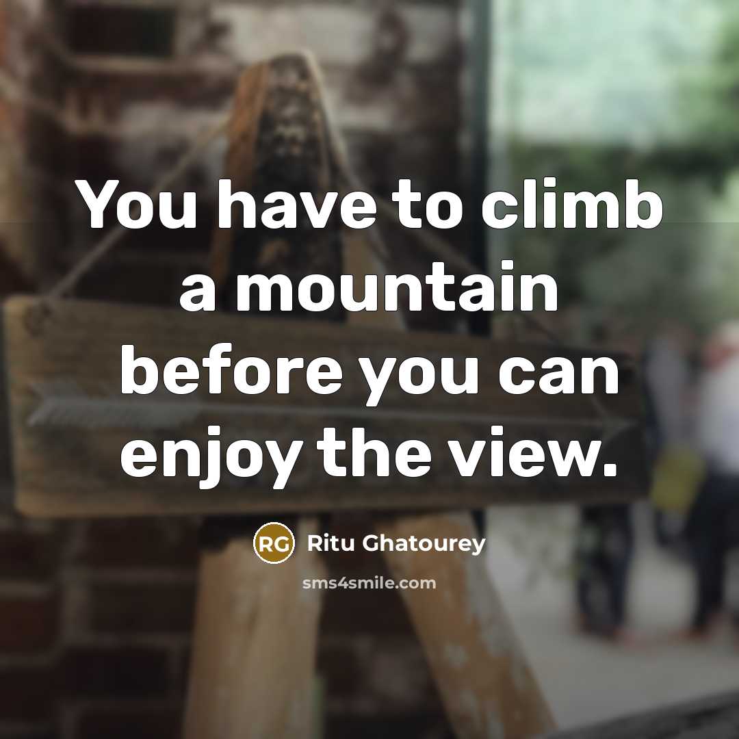 “You have to climb a mountain before you can enjoy…” quote by Ritu Ghatourey