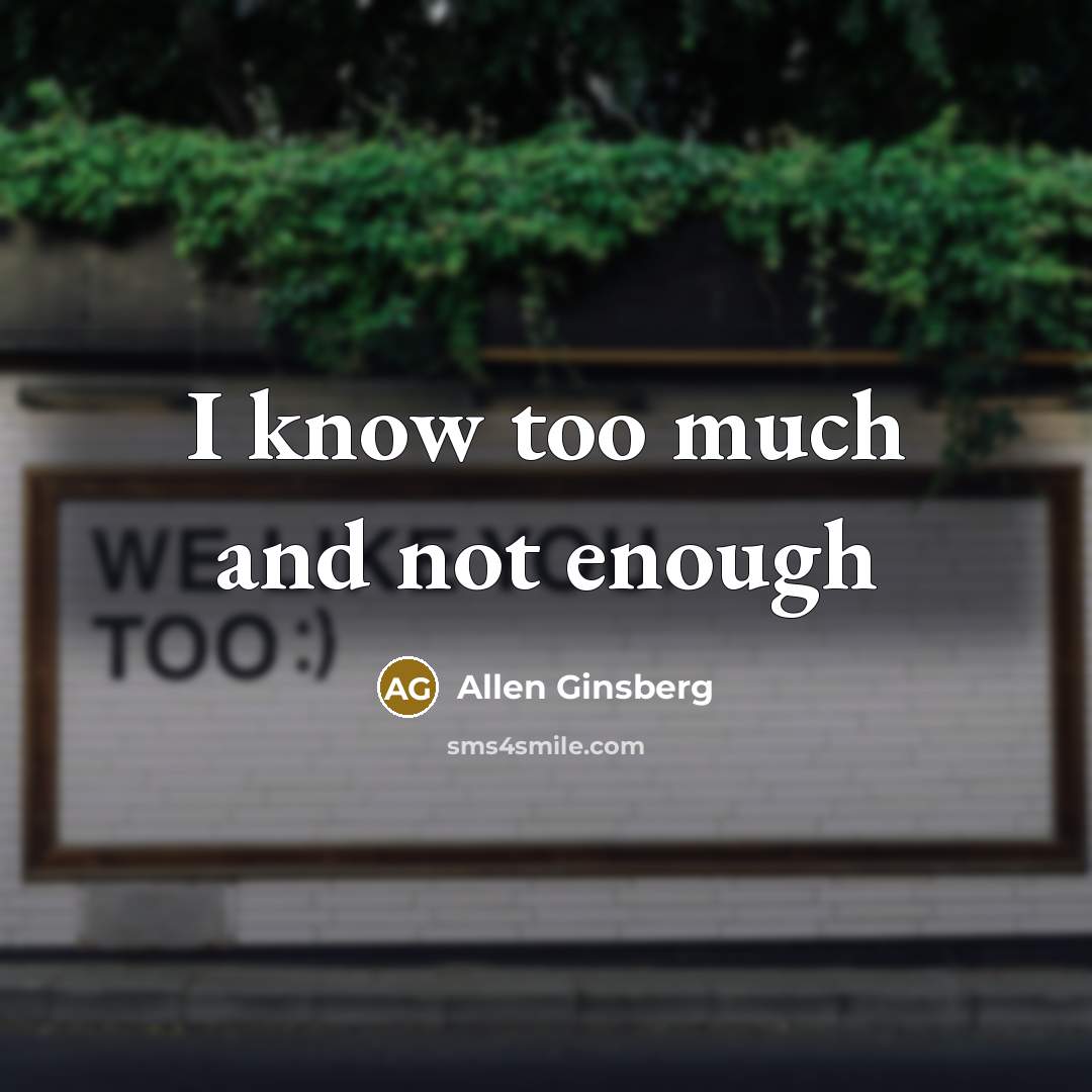 “I know too much and not enough…” quote by Allen Ginsberg