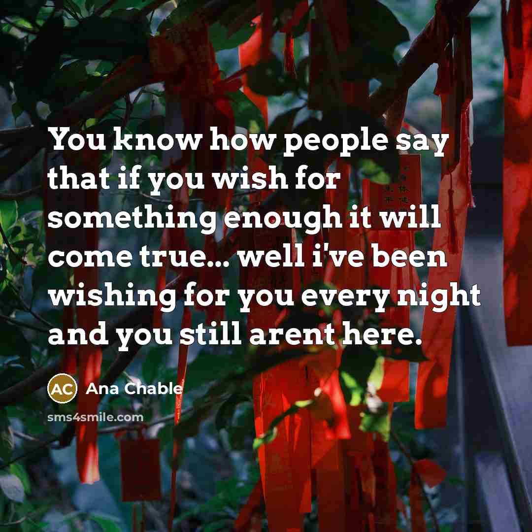“You know how people say that if you wish for…” quote by Ana Chable