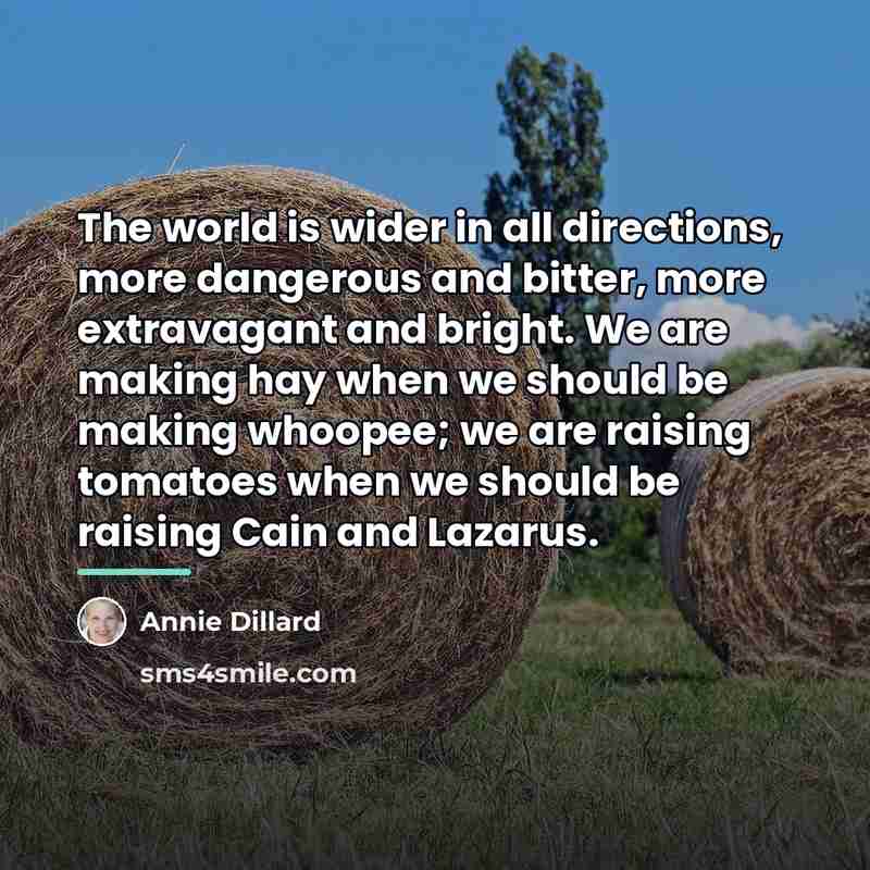 “The world is wider in all directions, more dangerous and…” quote by Annie Dillard