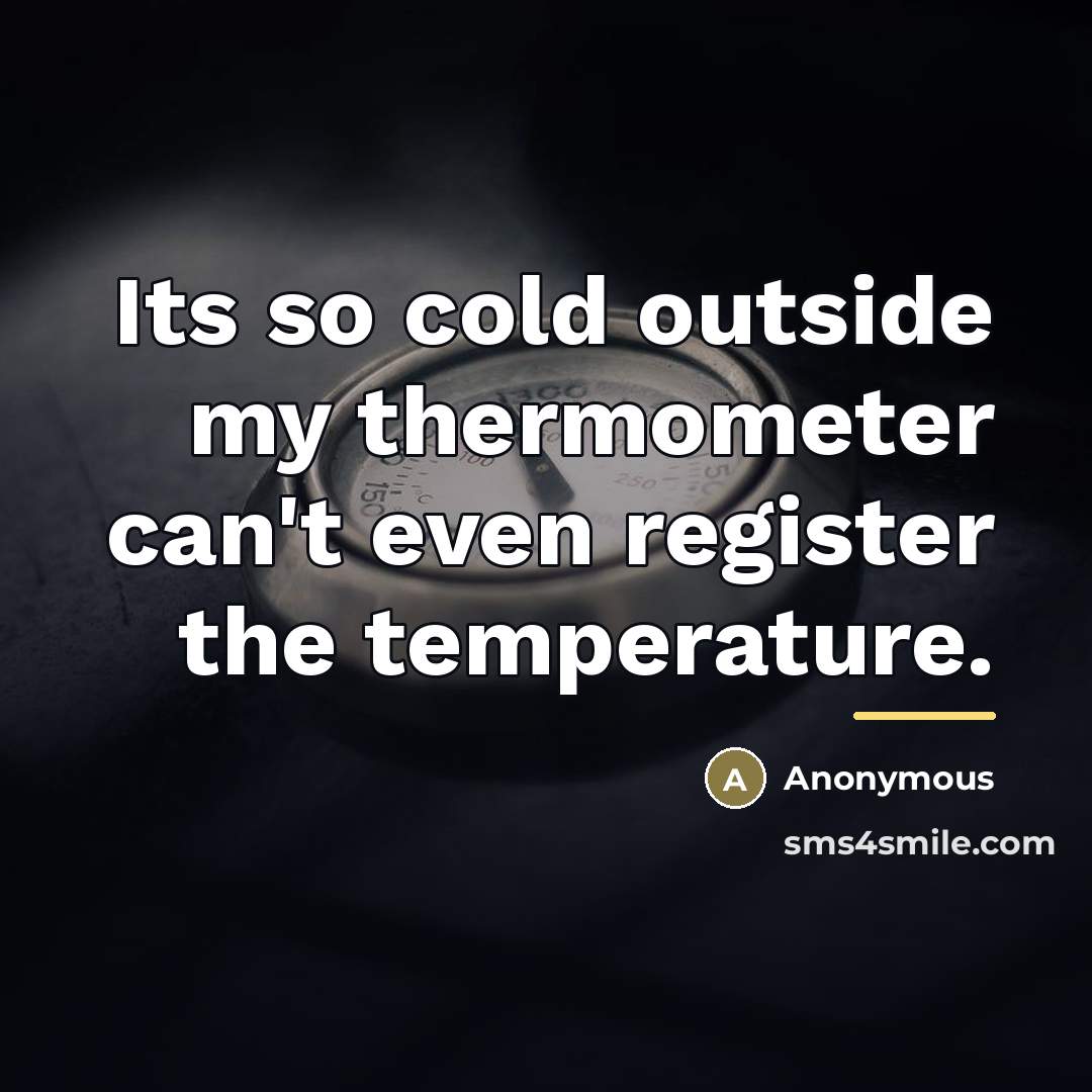 “Its so cold outside my thermometer can't even register the…” quote by Anonymous
