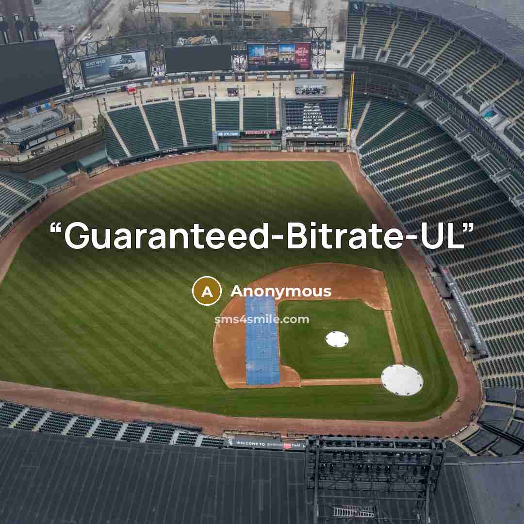 “Guaranteed-Bitrate-UL” quote by Anonymous