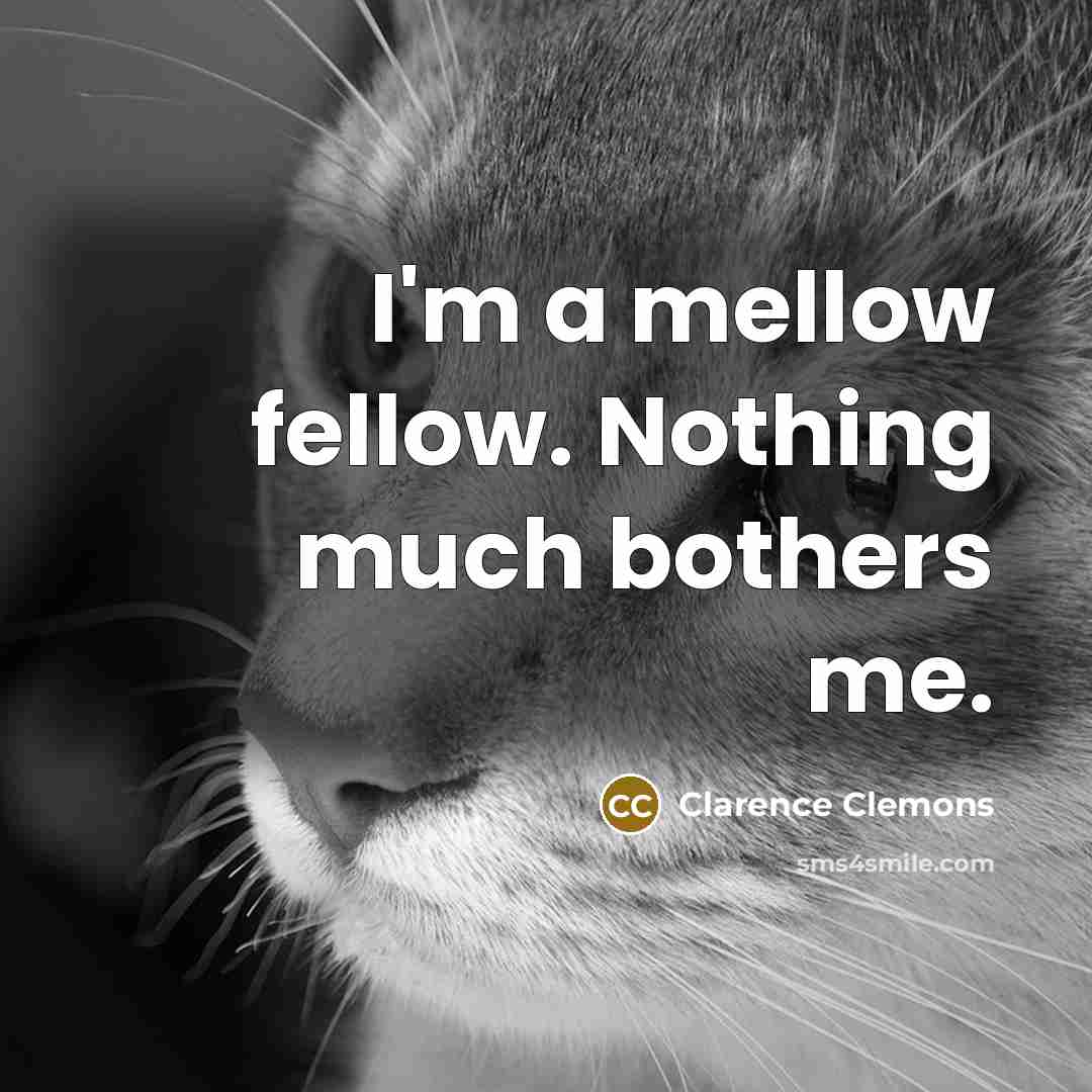 “I'm a mellow fellow. Nothing much bothers me.” quote by Clarence Clemons