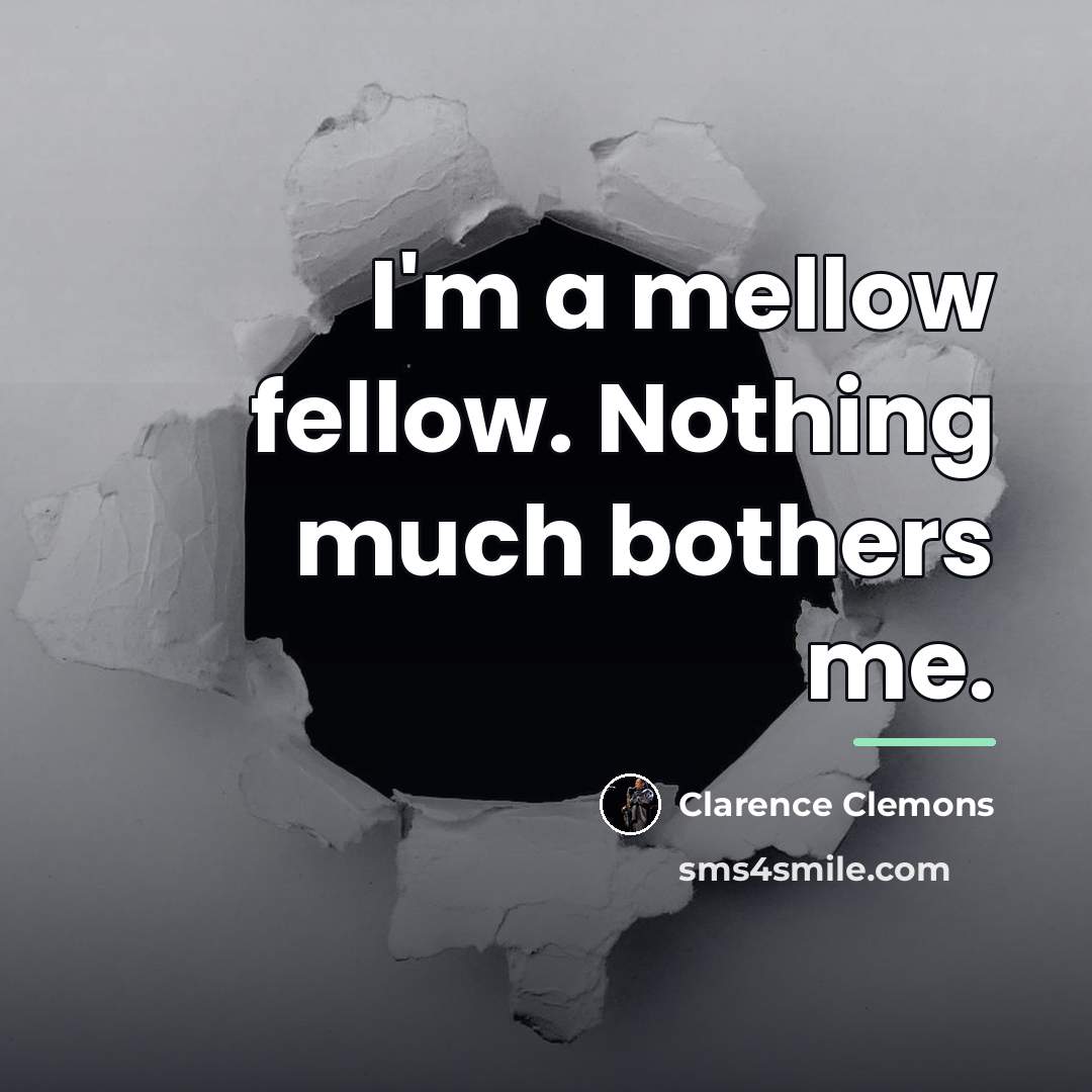“I'm a mellow fellow. Nothing much bothers me.…” quote by Clarence Clemons