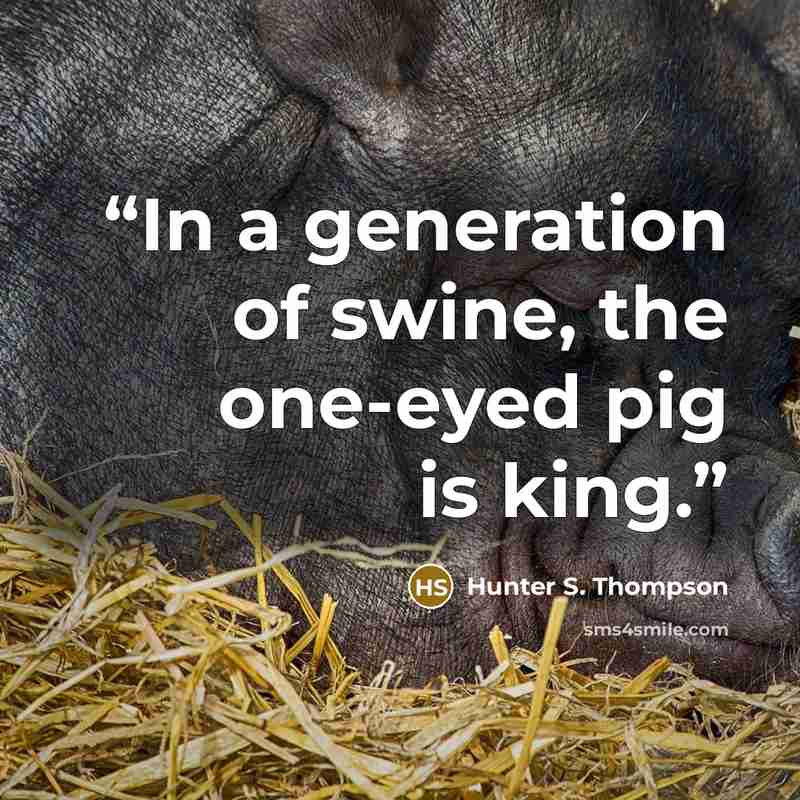 “In a generation of swine, the one-eyed pig is king.” quote by Hunter S. Thompson