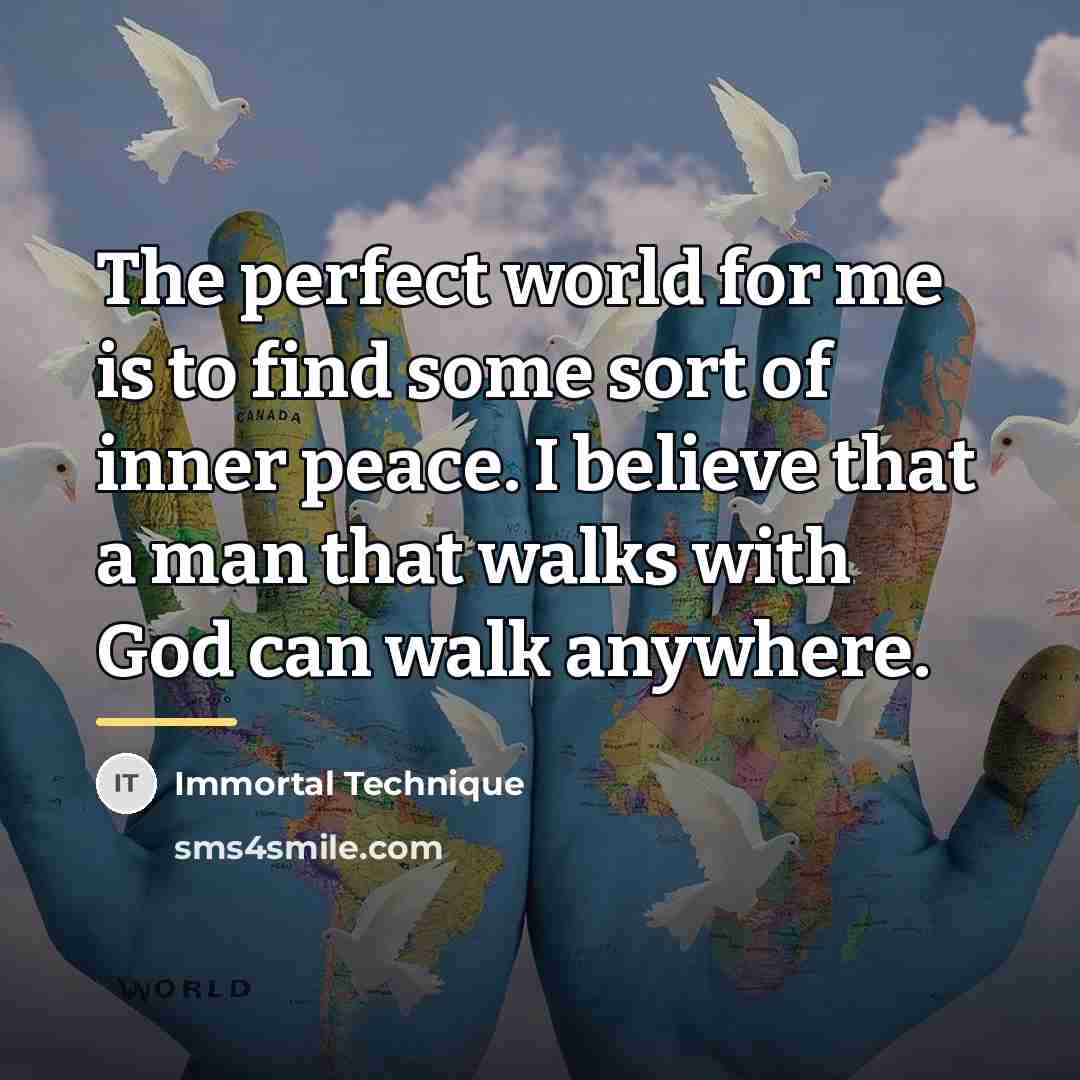 “The perfect world for me is to find some sort…” quote by Immortal Technique