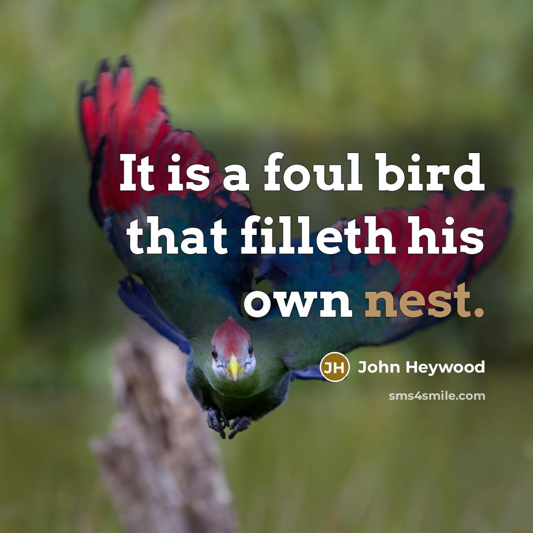 “It is a foul bird that filleth his own nest.…” quote by John Heywood