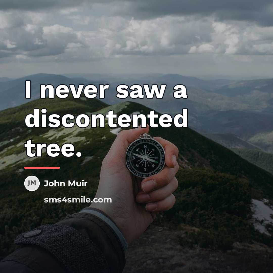 “I never saw a discontented tree.…” quote by John Muir