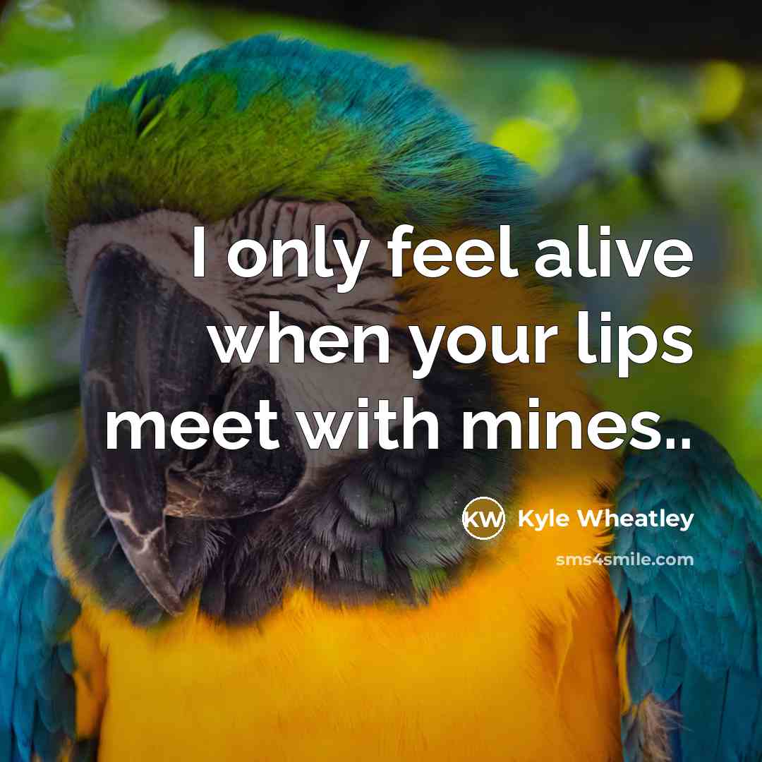 “I only feel alive when your lips meet with mines..…” quote by Kyle Wheatley