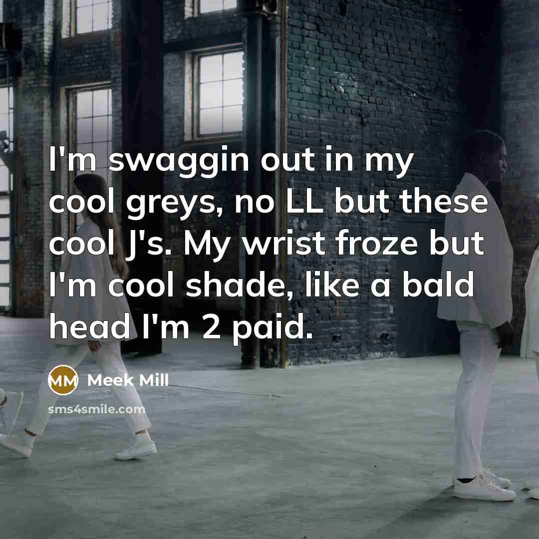 “I'm swaggin out in my cool greys, no LL but these cool J's. My wrist froze but I'm cool shade, like a bald head I'm 2 paid.” quote by Meek Mill