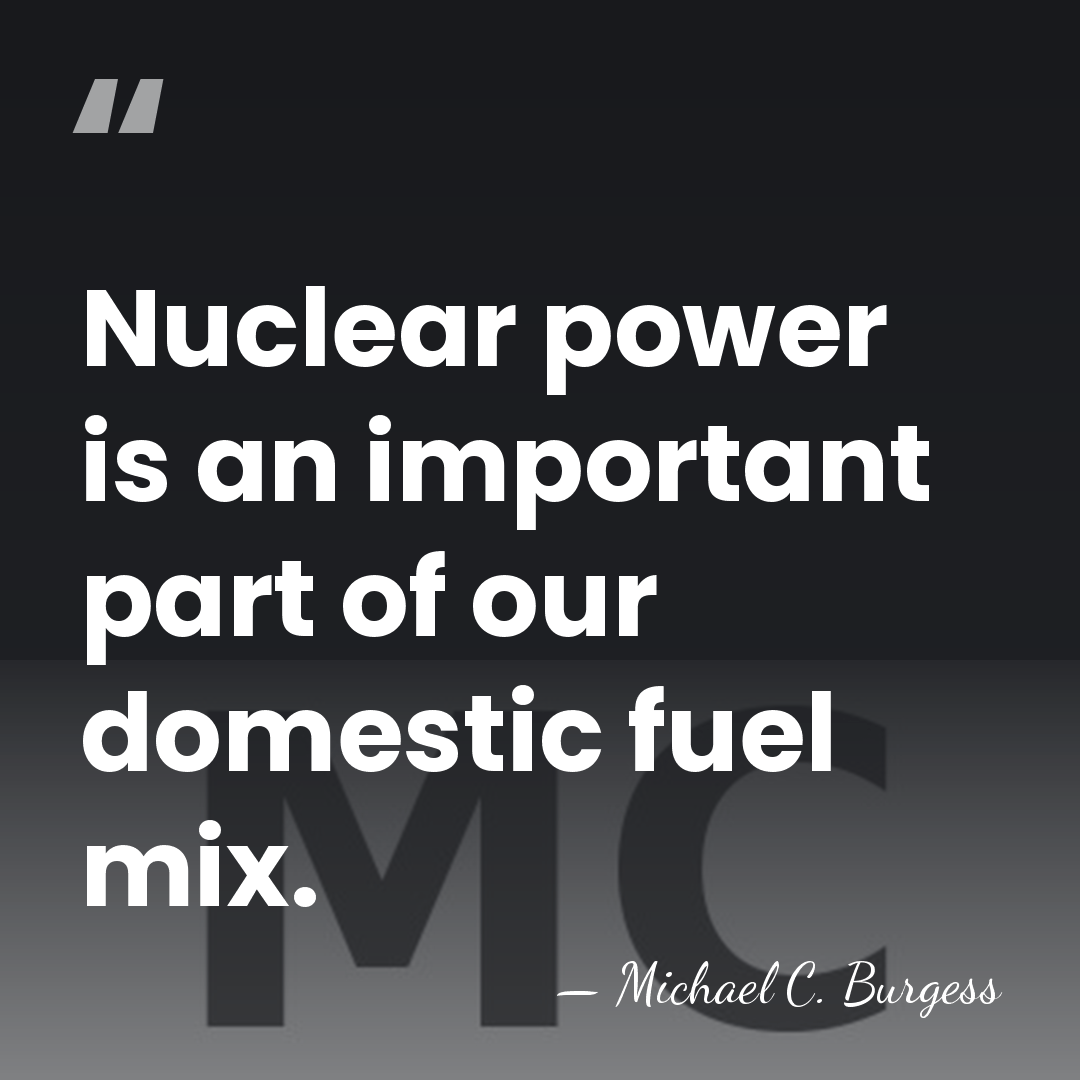 Nuclear power is an important part of our domestic fuel mix. - Michael C. Burgess