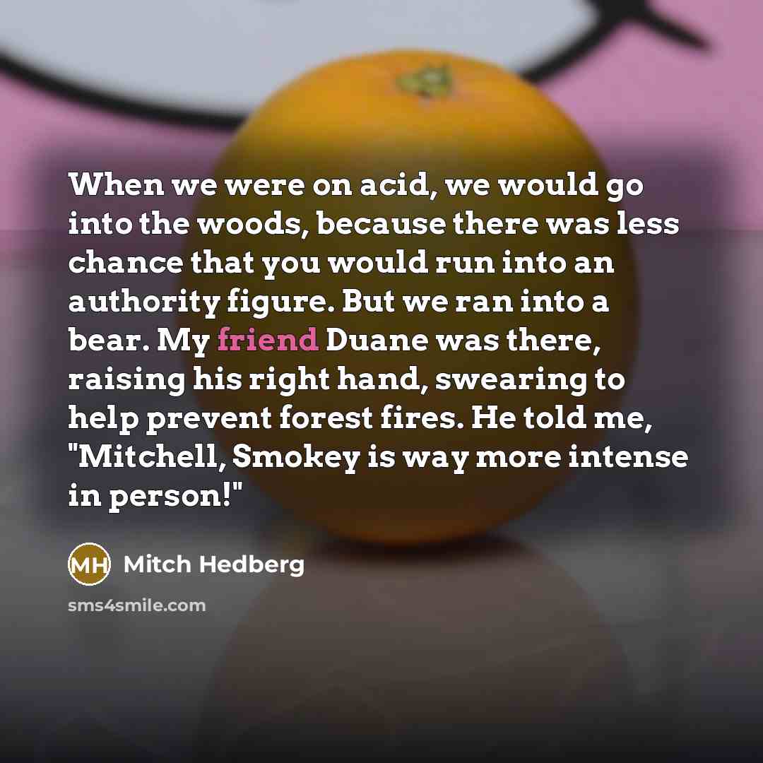“When we were on acid, we would go into the…” quote by Mitch Hedberg