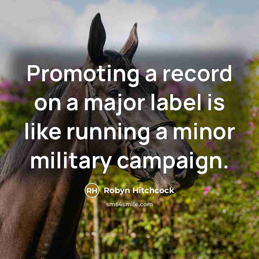“Promoting a record on a major label is like running…” quote by Robyn Hitchcock