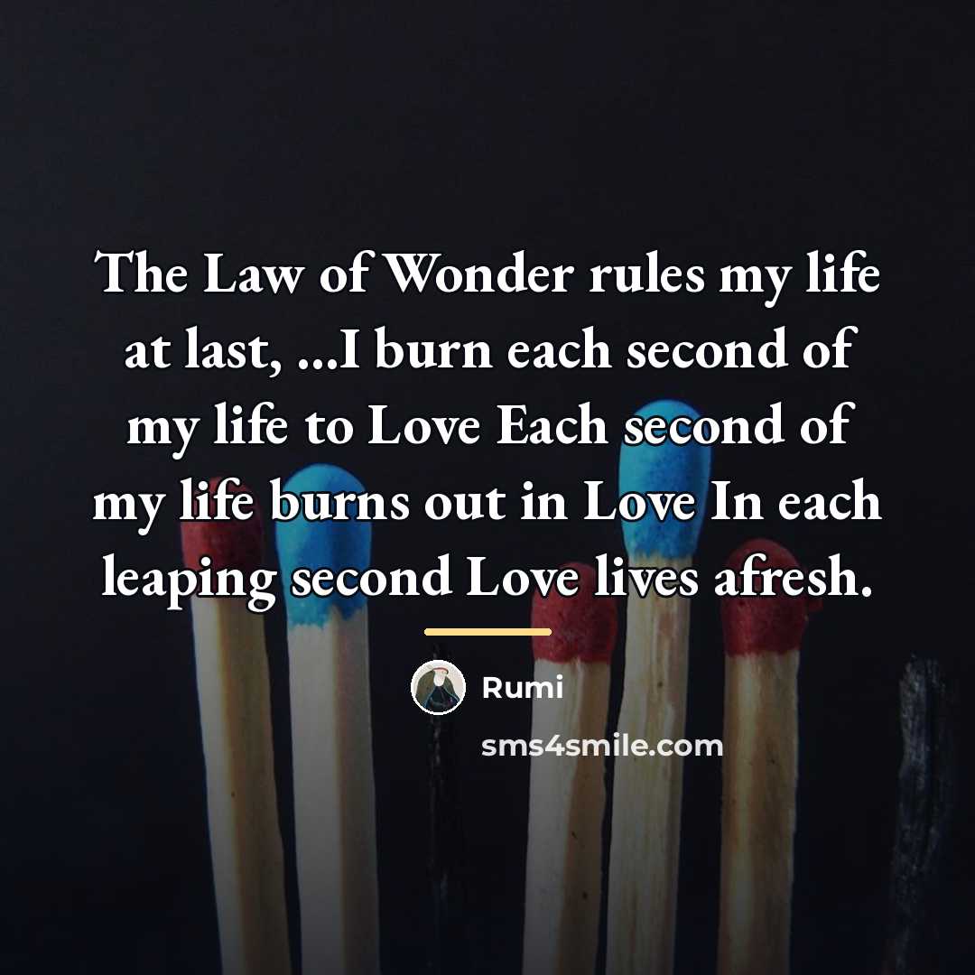“The Law of Wonder rules my life at last, ...I…” quote by Rumi