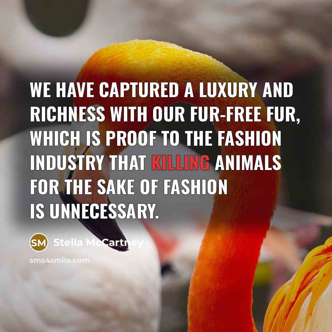 “We have captured a luxury and richness with our fur-free…” quote by Stella McCartney
