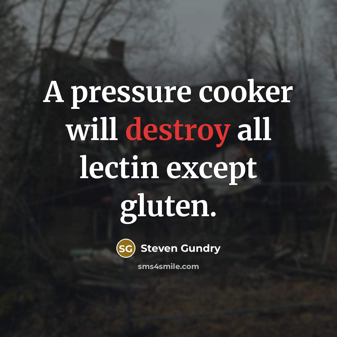 “A pressure cooker will destroy all lectin except gluten.…” quote by Steven Gundry