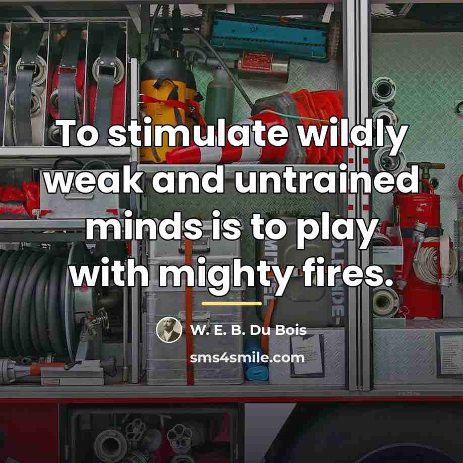 “To stimulate wildly weak and untrained minds is to play…” quote by W. E. B. Du Bois