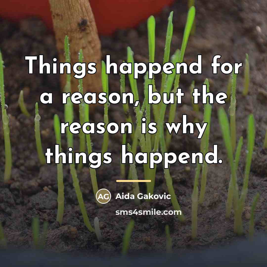 “Things happend for a reason, but the reason is why…” quote by Aida Gakovic