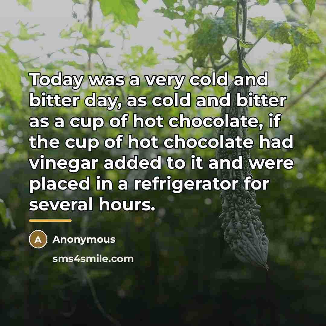 “Today was a very cold and bitter day, as cold…” quote by Anonymous