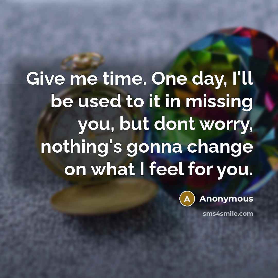 “Give me time. One day, I'll be used to it in missing you, but dont worry, nothing's gonna change on what I feel for you.” quote by Anonymous
