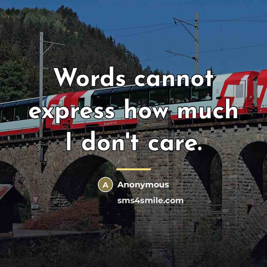 “Words cannot express how much I don't care.…” quote by Anonymous