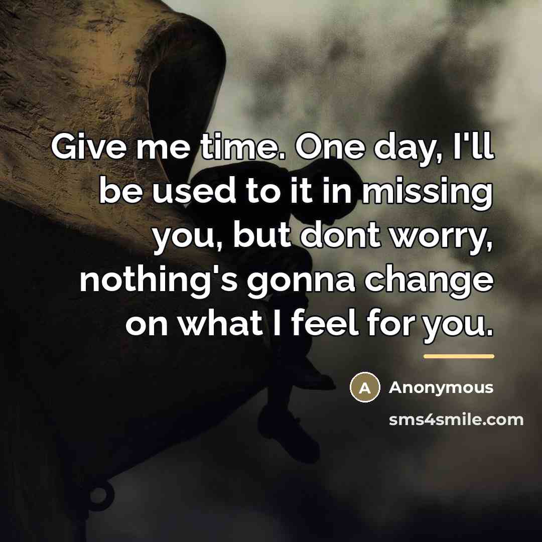 “Give me time. One day, I'll be used to it…” quote by Anonymous