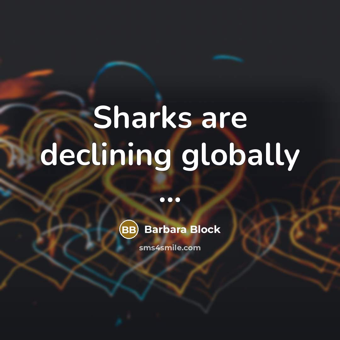 “Sharks are declining globally ...…” quote by Barbara Block