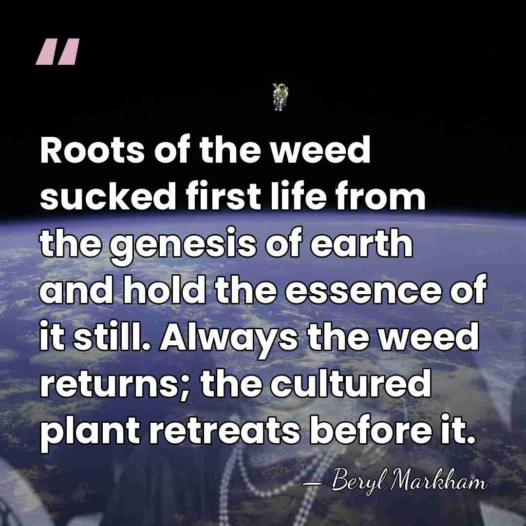 Roots of the weed sucked first life from the genesis of earth&hellip; - Beryl Markham
