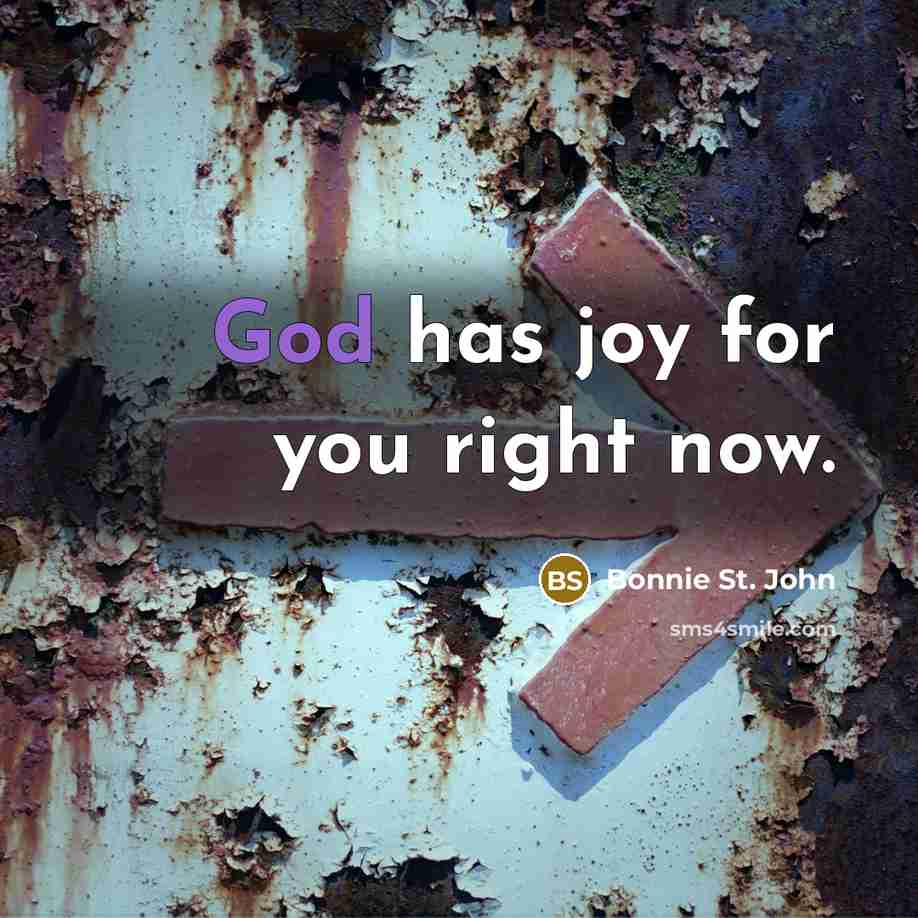 “God has joy for you right now.…” quote by Bonnie St. John