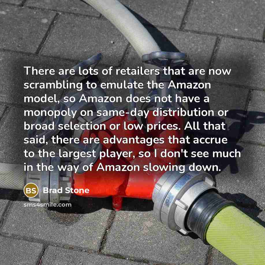 “There are lots of retailers that are now scrambling to…” quote by Brad Stone