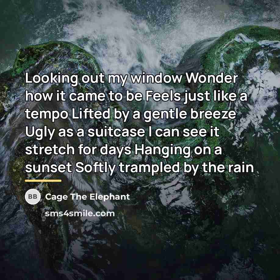 “Looking out my window Wonder how it came to be…” quote by Cage The Elephant