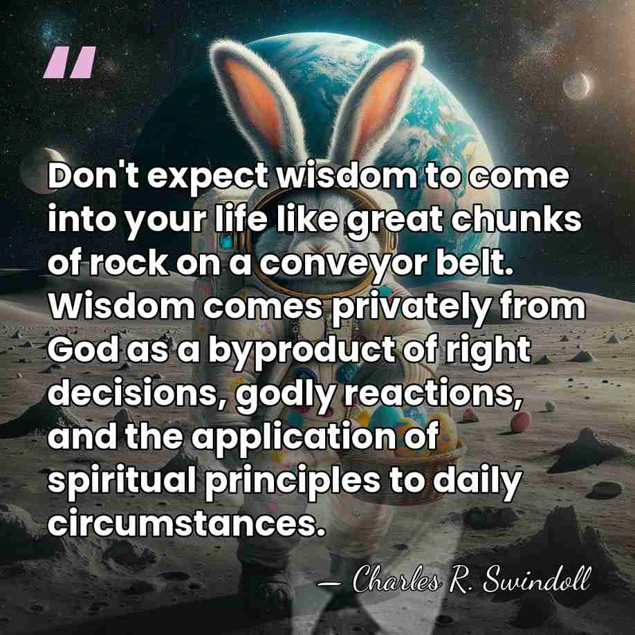 Don't expect wisdom to come into your life like great chunks of&hellip; - Charles R. Swindoll