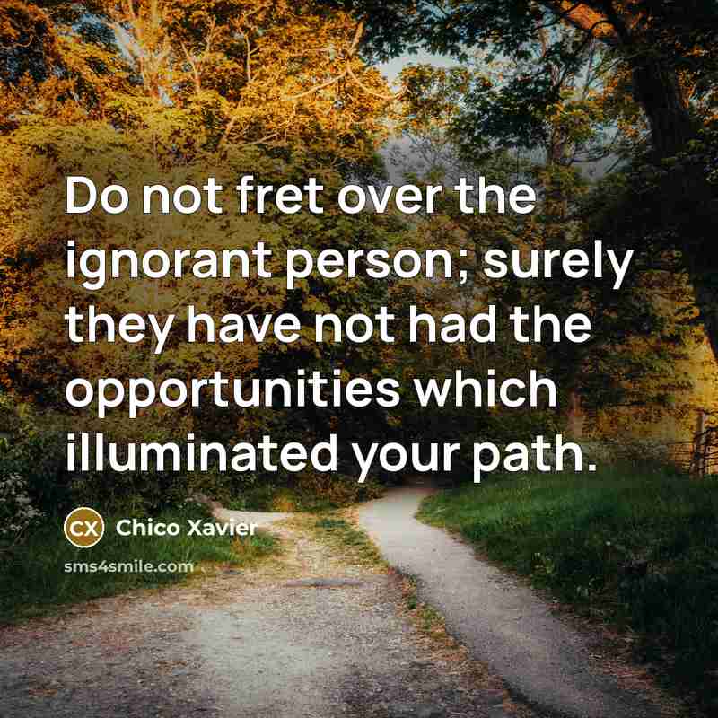 “Do not fret over the ignorant person; surely they have…” quote by Chico Xavier