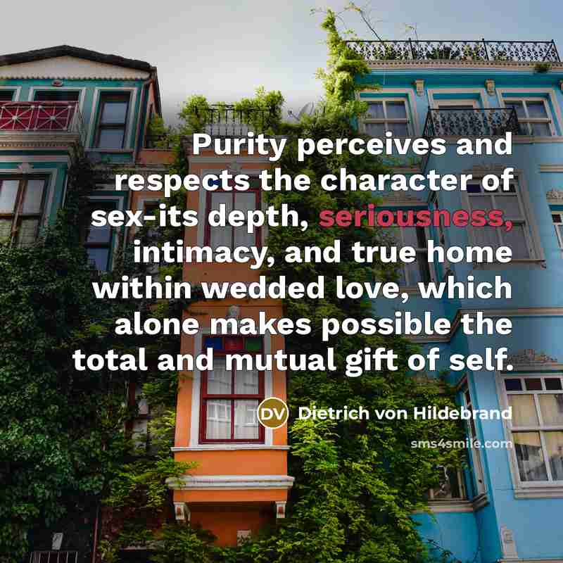 “Purity perceives and respects the character of sex-its depth, seriousness,…” quote by Dietrich von Hildebrand