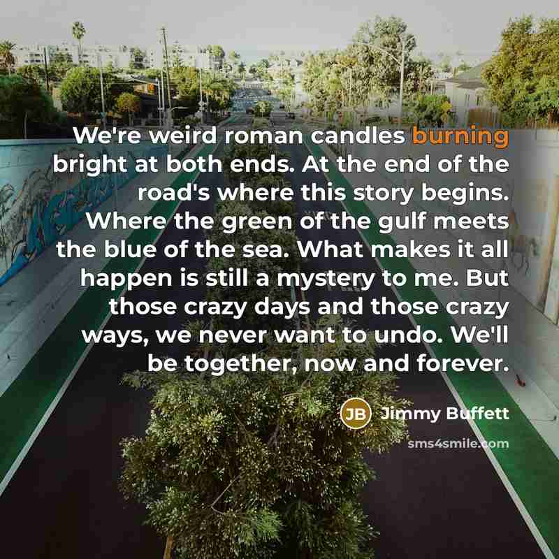 “We're weird roman candles burning bright at both ends. At…” quote by Jimmy Buffett
