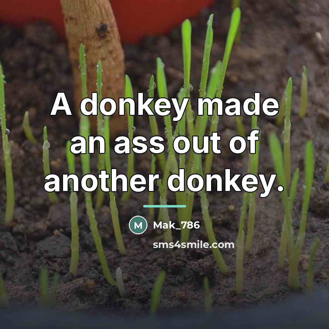 “A donkey made an ass out of another donkey.…” quote by Mak_786