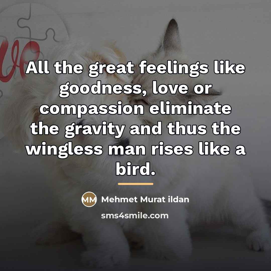 “All the great feelings like goodness, love or compassion eliminate…” quote by Mehmet Murat Ildan
