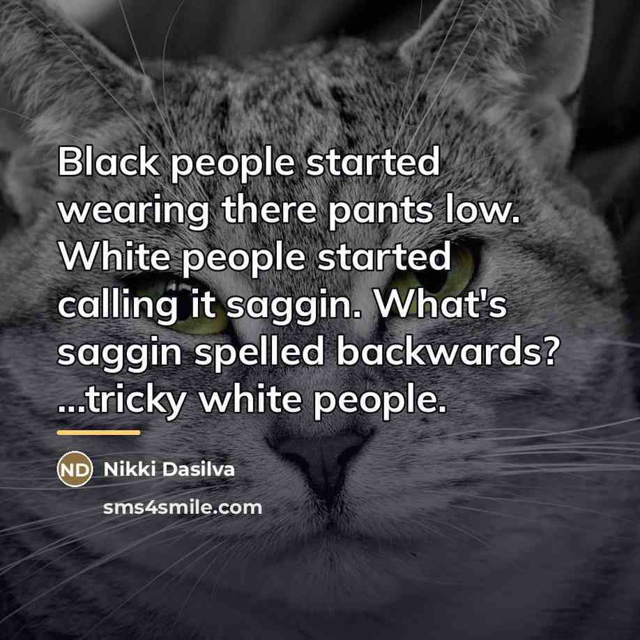 “Black people started wearing there pants low. White people started…” quote by Nikki Dasilva