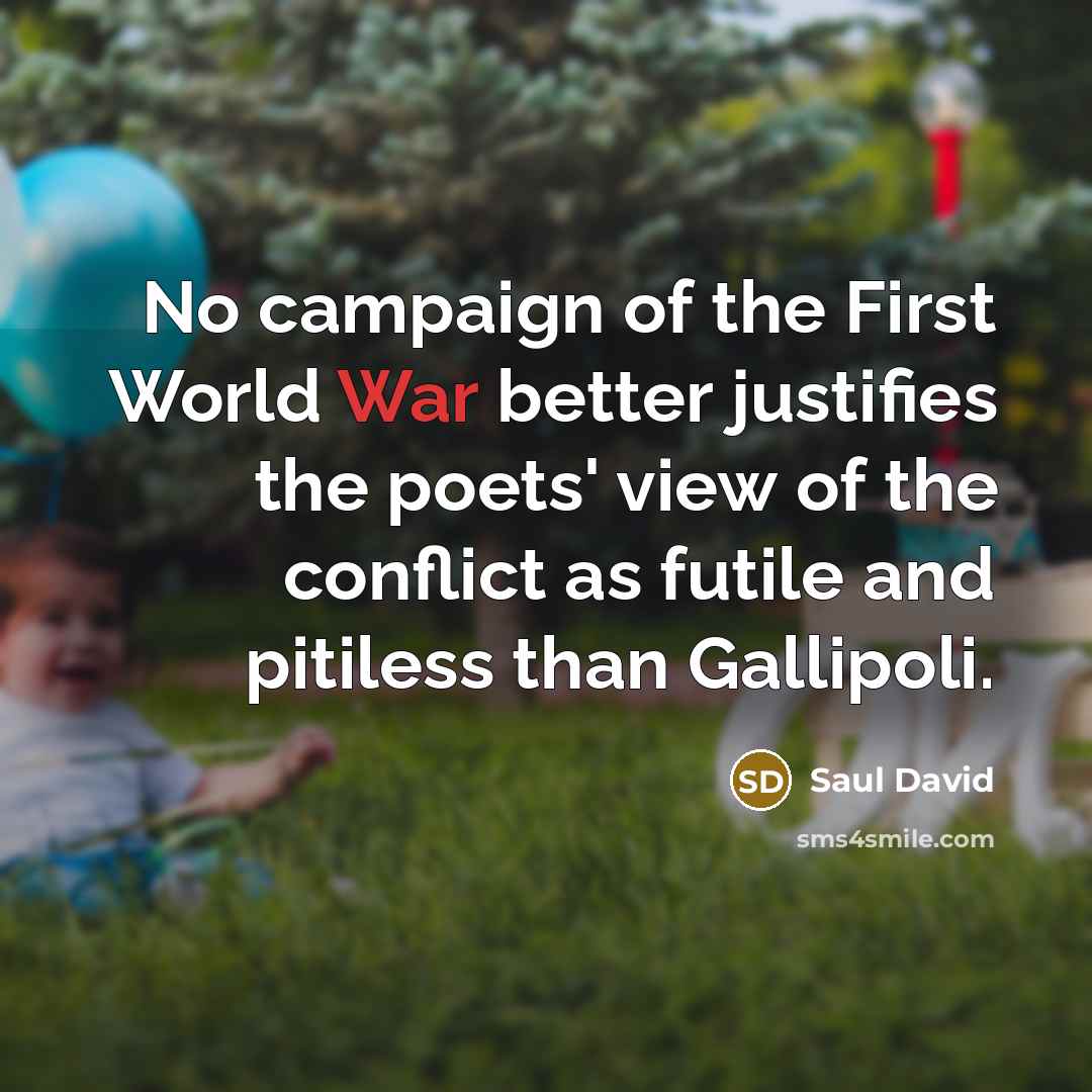 “No campaign of the First World War better justifies the…” quote by Saul David
