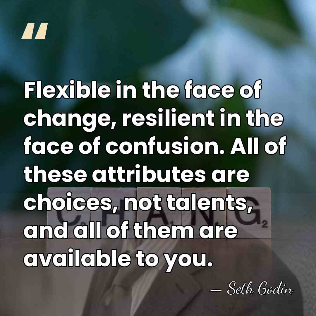 Flexible in the face of change, resilient in the face of confusion.&hellip; - Seth Godin