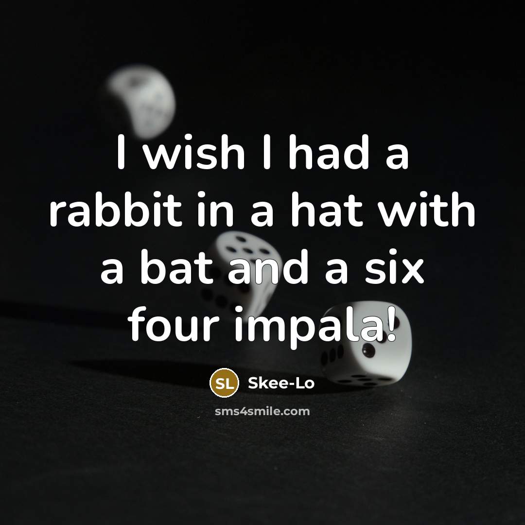 “I wish I had a rabbit in a hat with…” quote by Skee-Lo