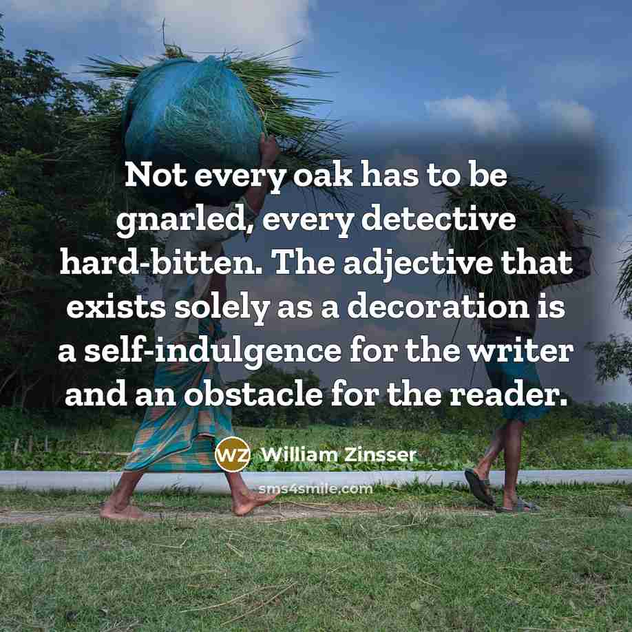 “Not every oak has to be gnarled, every detective hard-bitten.…” quote by William Zinsser