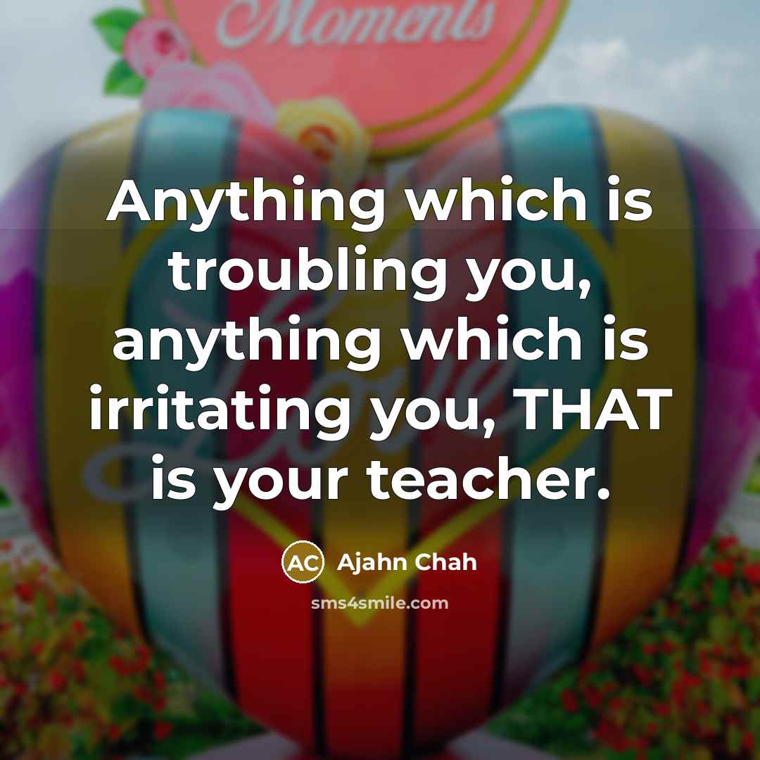 “Anything which is troubling you, anything which is irritating you,…” quote by Ajahn Chah