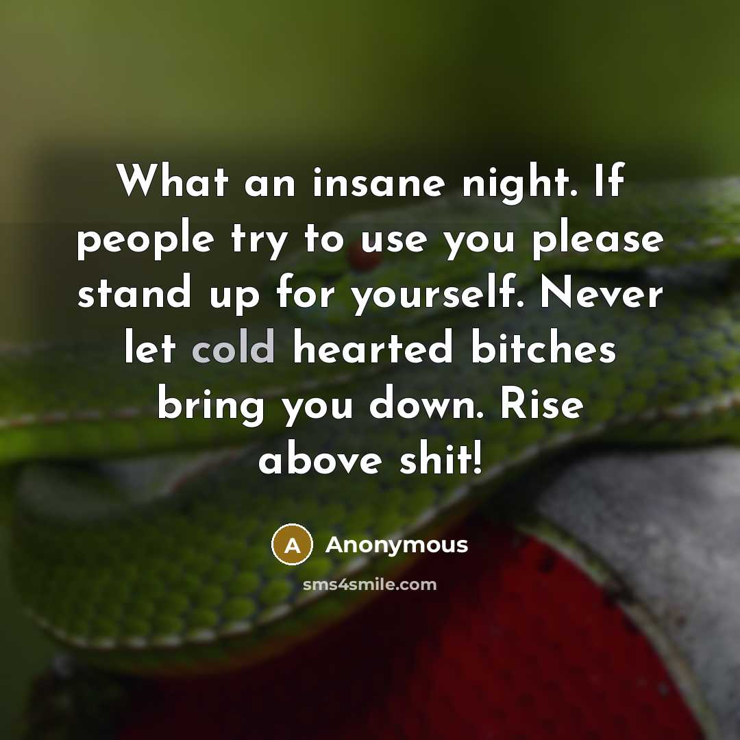 “What an insane night. If people try to use you please stand up for yourself. Never let cold hearted bitches bring you down. Rise above shit!” quote by Anonymous