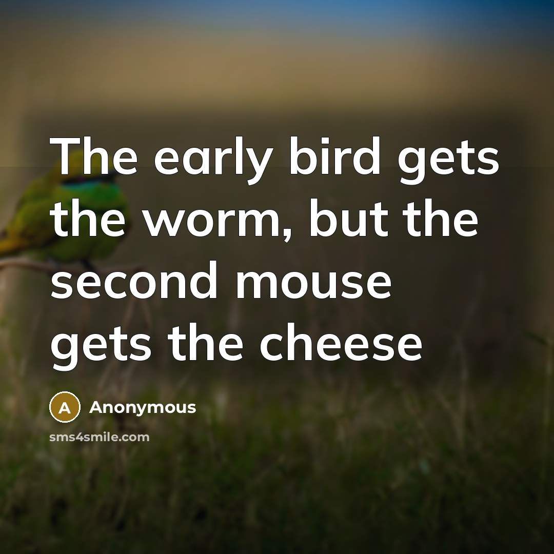 “The early bird gets the worm, but the second mouse…” quote by Anonymous