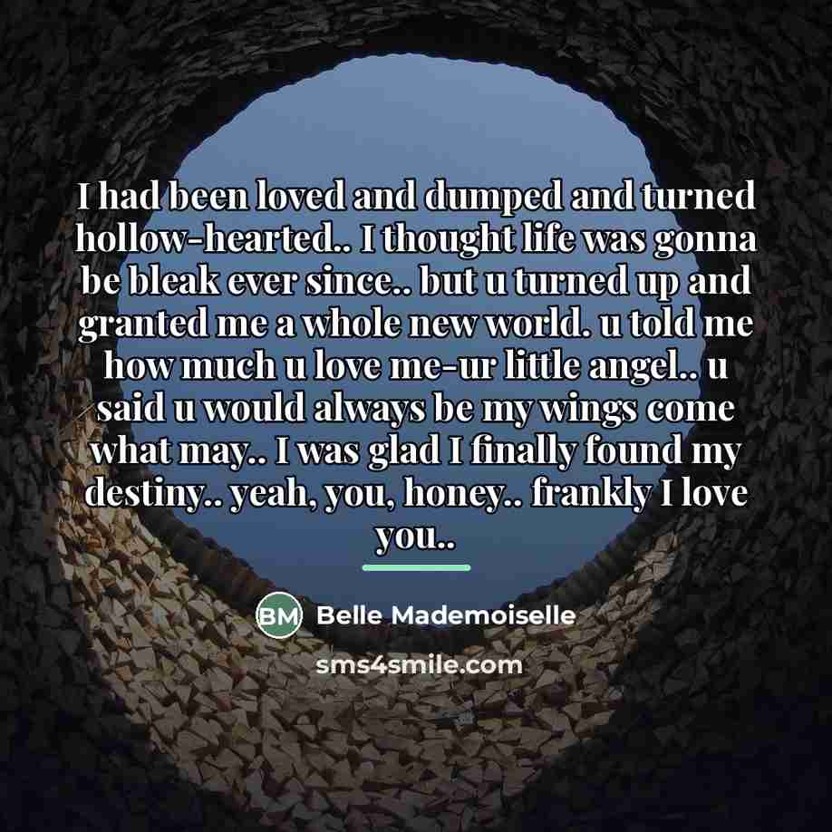 “I had been loved and dumped and turned hollow-hearted.. I…” quote by Belle Mademoiselle