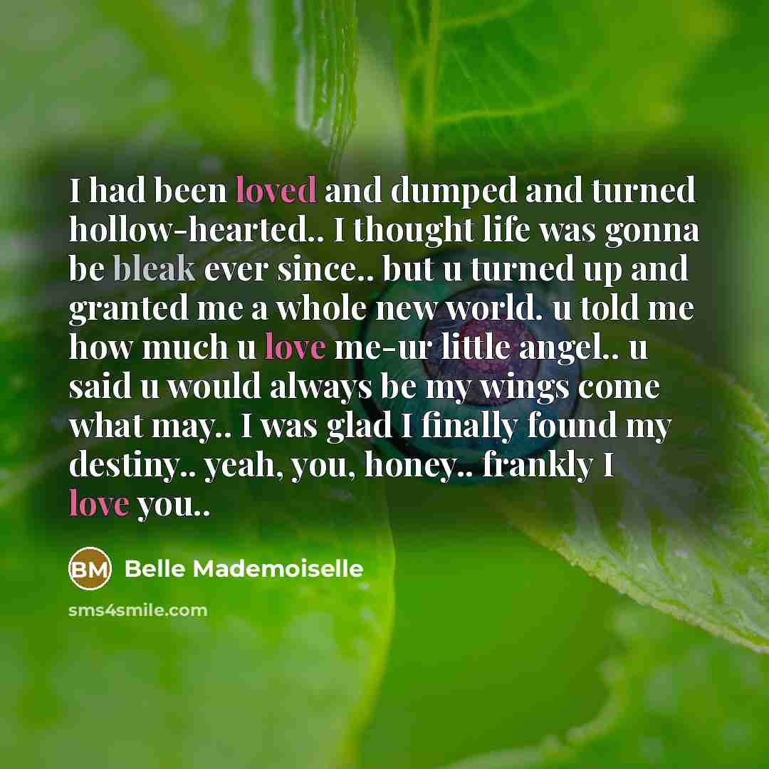 “I had been loved and dumped and turned hollow-hearted.. I thought life was gonna be bleak ever since.. but u turned up and granted me a whole new world. u told me how much u love me-ur little angel.. u said u would always be my wings come what may.. I was glad I finally found my destiny.. yeah…” quote by Belle Mademoiselle